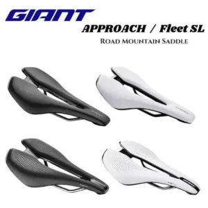 *GIANT APPROACH
