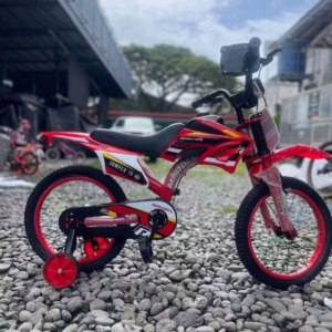 motorbike 16
